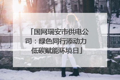 国网瑞安市供电公司：绿色同行添动力 低碳赋能环境日