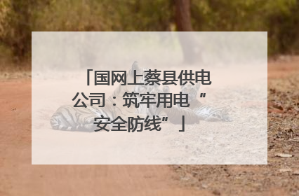 国网上蔡县供电公司：筑牢用电“安全防线”