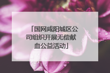 国网咸阳城区公司组织开展无偿献血公益活动