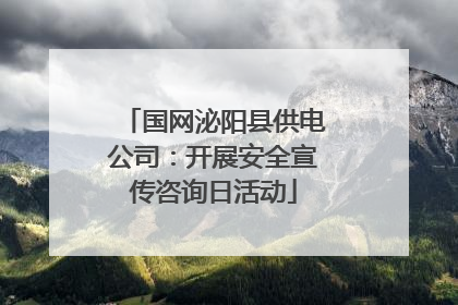 国网泌阳县供电公司：开展安全宣传咨询日活动