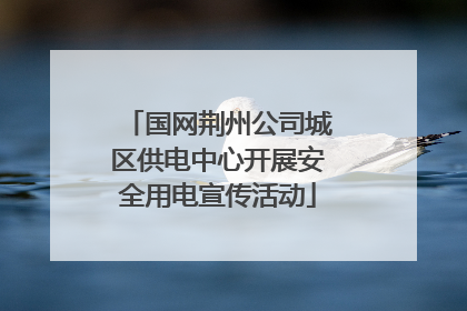 国网荆州公司城区供电中心开展安全用电宣传活动