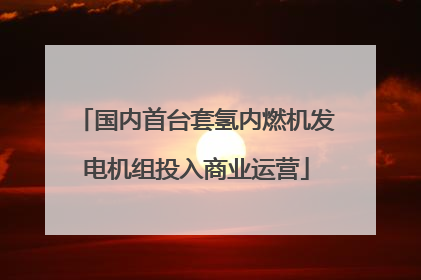 国内首台套氢内燃机发电机组投入商业运营