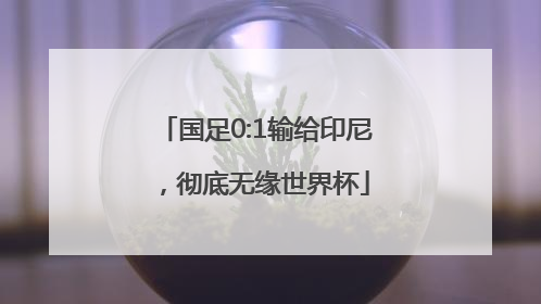 国足0:1输给印尼，彻底无缘世界杯