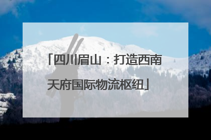 四川眉山：打造西南天府国际物流枢纽