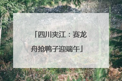 四川夹江：赛龙舟抢鸭子迎端午