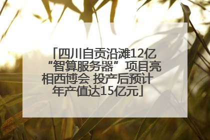 四川自贡沿滩12亿“智算服务器”项目亮相西博会 投产后预计年产值达15亿元