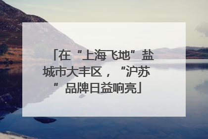 在“上海飞地”盐城市大丰区，“沪苏”品牌日益响亮