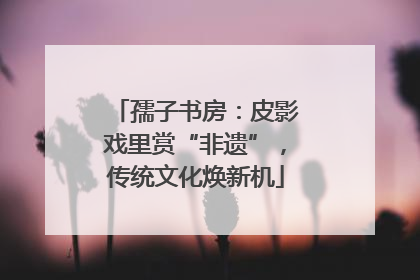 孺子书房：皮影戏里赏“非遗”，传统文化焕新机