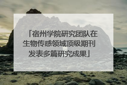 宿州学院研究团队在生物传感领域顶级期刊发表多篇研究成果