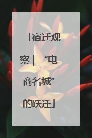 宿迁观察｜“电商名城”的跃迁