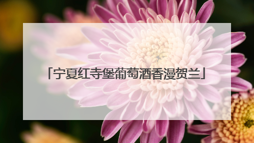 宁夏红寺堡葡萄酒香漫贺兰