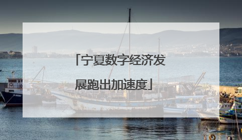 宁夏数字经济发展跑出加速度