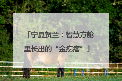 宁夏贺兰：智慧方舱里长出的“金疙瘩”