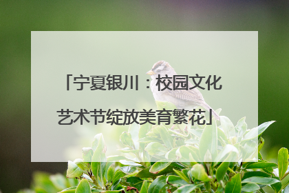 宁夏银川：校园文化艺术节绽放美育繁花