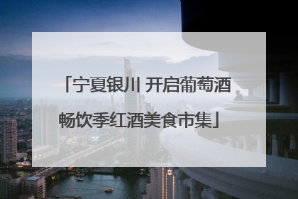 宁夏银川 开启葡萄酒畅饮季红酒美食市集
