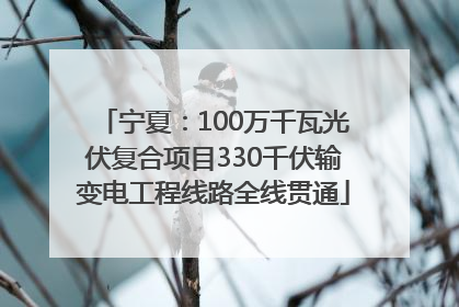 宁夏：100万千瓦光伏复合项目330千伏输变电工程线路全线贯通