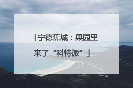 宁德蕉城：果园里来了“科特派”