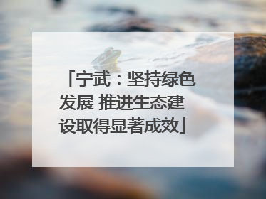 宁武：坚持绿色发展 推进生态建设取得显著成效