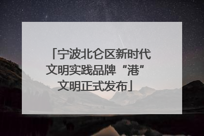 宁波北仑区新时代文明实践品牌“港”文明正式发布