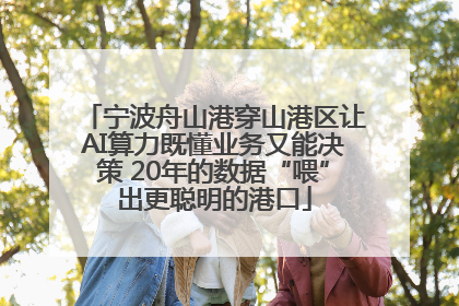 宁波舟山港穿山港区让AI算力既懂业务又能决策 20年的数据“喂”出更聪明的港口
