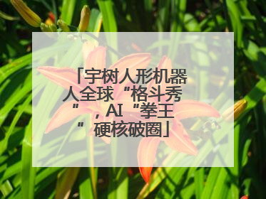宇树人形机器人全球“格斗秀”，AI“拳王”硬核破圈