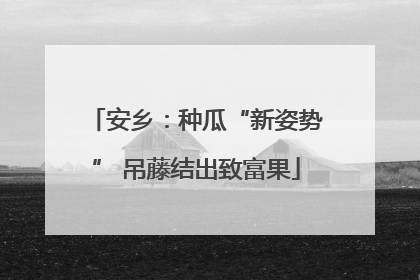 安乡：种瓜“新姿势” 吊藤结出致富果
