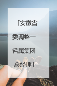 安徽省委调整一省属集团总经理