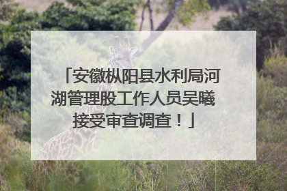 安徽枞阳县水利局河湖管理股工作人员吴曦接受审查调查！