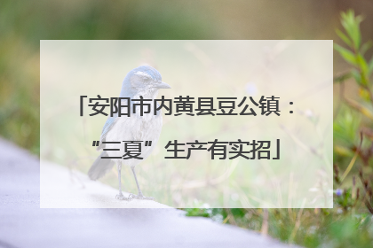 安阳市内黄县豆公镇：“三夏”生产有实招