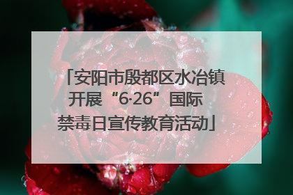 安阳市殷都区水冶镇开展“6·26”国际禁毒日宣传教育活动