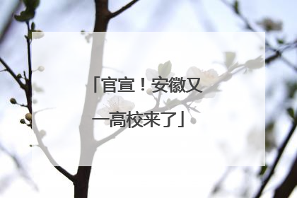 官宣！安徽又一高校来了
