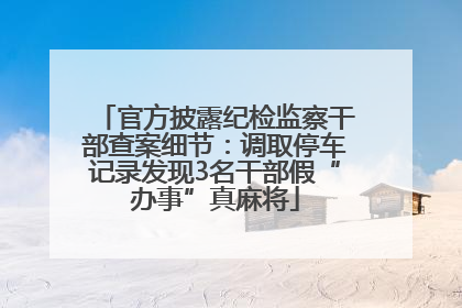 官方披露纪检监察干部查案细节：调取停车记录发现3名干部假“办事”真麻将