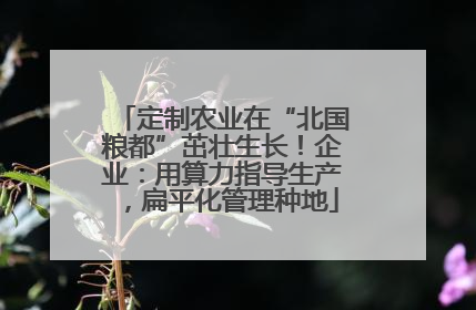 定制农业在“北国粮都”茁壮生长！企业：用算力指导生产，扁平化管理种地