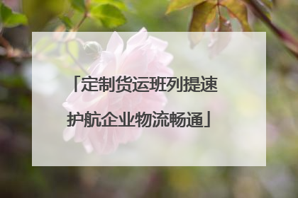 定制货运班列提速 护航企业物流畅通