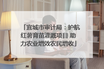 宜城市审计局：护航红薯育苗灌溉项目 助力农业增效农民增收
