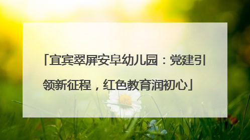 宜宾翠屏安阜幼儿园：党建引领新征程，红色教育润初心