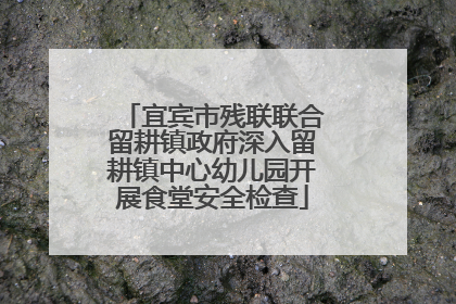 宜宾市残联联合留耕镇政府深入留耕镇中心幼儿园开展食堂安全检查