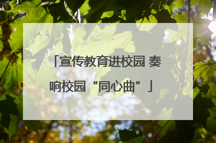 宣传教育进校园 奏响校园“同心曲”