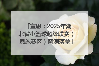 宣恩：2025年湖北省小篮球超级联赛（恩施赛区）圆满落幕