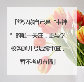 堂兄称自己是“韦神”的唯一关注，正与学校沟通开号后续事宜，暂不考虑直播