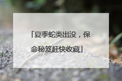 夏季蛇类出没，保命秘笈赶快收藏