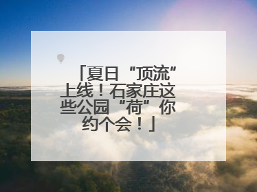 夏日“顶流”上线！石家庄这些公园“荷”你约个会！