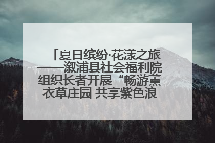 夏日缤纷·花漾之旅——溆浦县社会福利院组织长者开展“畅游薰衣草庄园 共享紫色浪漫”户外活动