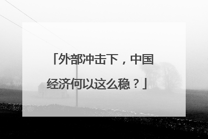 外部冲击下，中国经济何以这么稳？