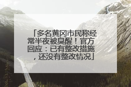 多名黄冈市民称经常半夜被臭醒！官方回应：已有整改措施，还没有整改情况