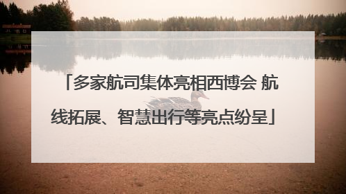 多家航司集体亮相西博会 航线拓展、智慧出行等亮点纷呈