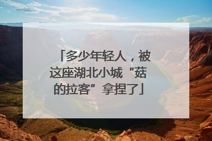 多少年轻人，被这座湖北小城“菇的拉客”拿捏了