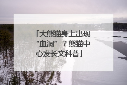 大熊猫身上出现“血洞”？熊猫中心发长文科普