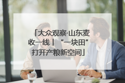大众观察·山东麦收一线丨“一块田”打开产粮新空间