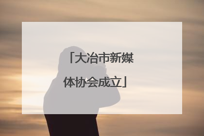 大冶市新媒体协会成立